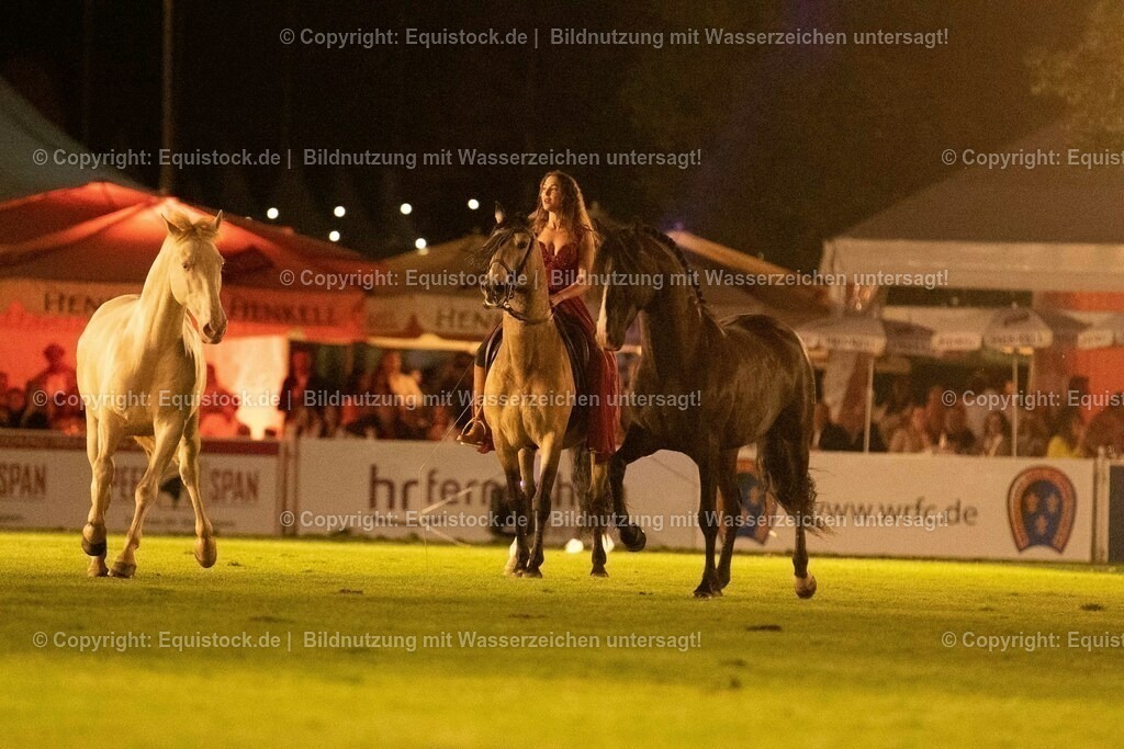 20230526_Pferdenacht_1500 | equistock