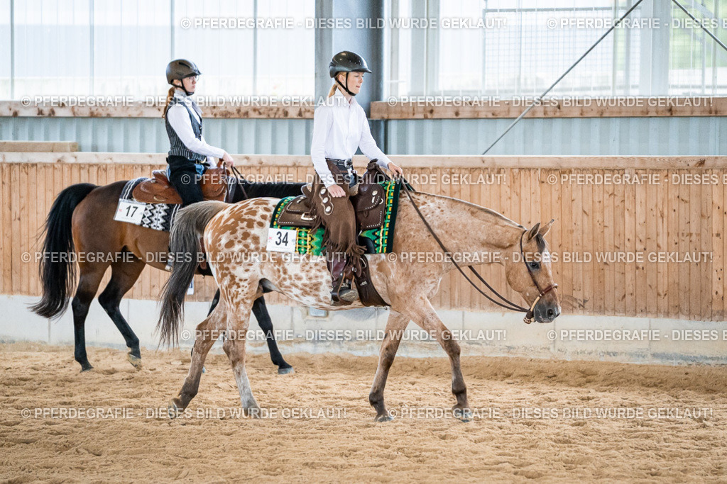 DSC01233 | Pferdegrafie