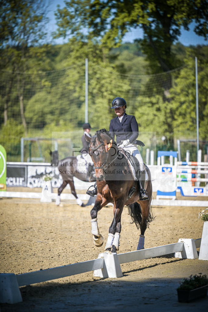 DOS_7456 | Entdecke hochwertige Reitturnierfotos von Foto Oger. Professionell, emotional und authentisch – jetzt Lieblingsmomente im Shop bestellen.Deutschlandweite Turnierfotografie. - Realisiert mit Pictrs.com