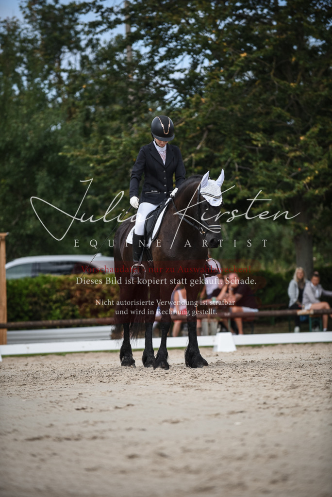 DSC_8615 | Pferde- und Turnierfotografie in Westsachsen. Pferdeportraits, Auftragszeichnungen und intuitive Kunst.