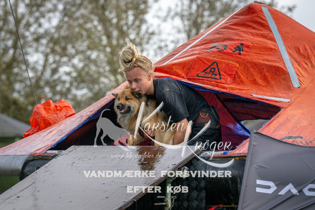1219-93299 | kk-dogfotos