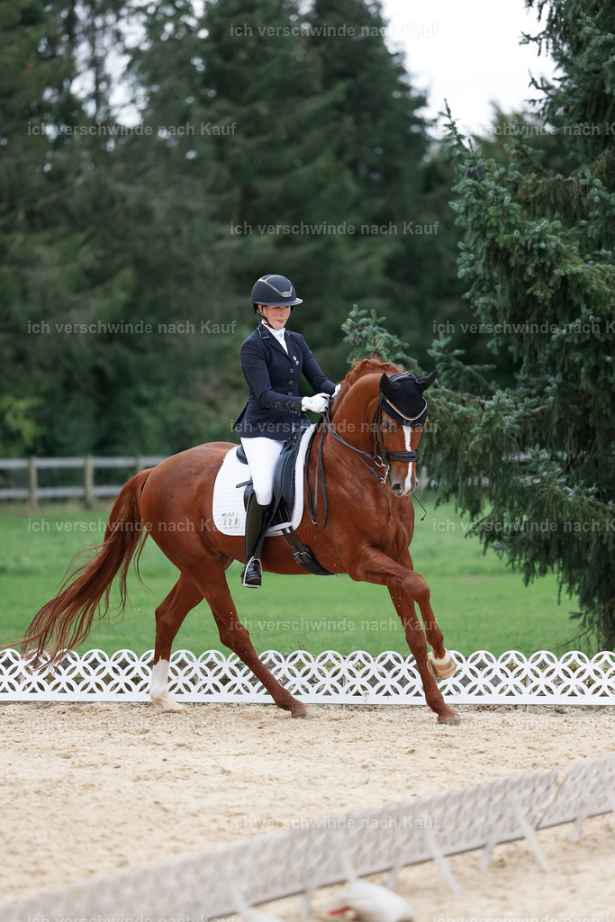 04_2-223-Dressur M__ -StoibPH-2966 | working equitationturnier fotograf videograf stoibphotography marixx film working equitation deutschland reitsport turnierfotografie eventfotografie equestrian events