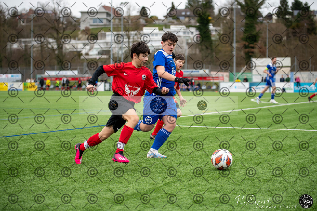 20240317_20240317_KS-Turnier Cb.Jun.1230_1548-3_019 | Sport und Naturfotografie von Roberto Esposito zeigt echte Momente Bewegung und die Schönheit der Natur. Ausdrucksstarke Bilder schaffen Emotionen.