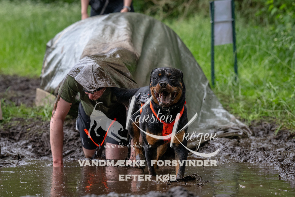 1628_ZZ94212 | kk-dogfotos