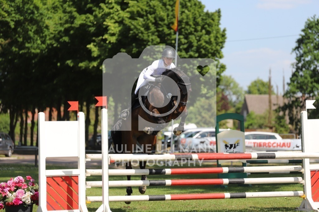 IMG_6486 | Pauline Ullmann Photography - Realisiert mit Pictrs.com