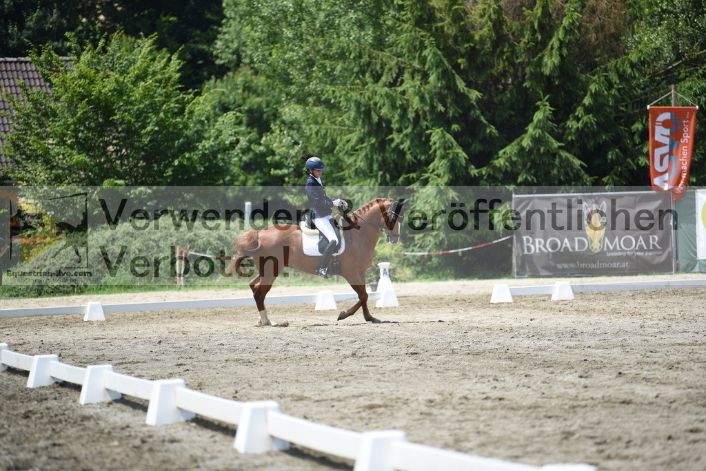 DSC_9299 | equestrian-live-com