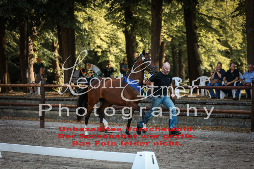 DoER00057 | Leoni Ertmer Photography - Realisiert mit Pictrs.com