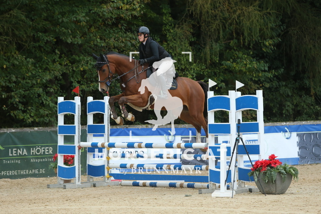 DL2Q4111 | Willkommen bei Brunnmayr - Design & Fotografie – Ihrem Spezialisten für Reitturniere und Pferdeveranstaltungen in Oberösterreich, Salzburg und Bayern! Seit über 17 Jahren sind wir leidenschaftlich dabei.