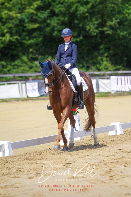 DKP46067 | Turniersportfotografie; Pferdefotografie; Dressurfotografie