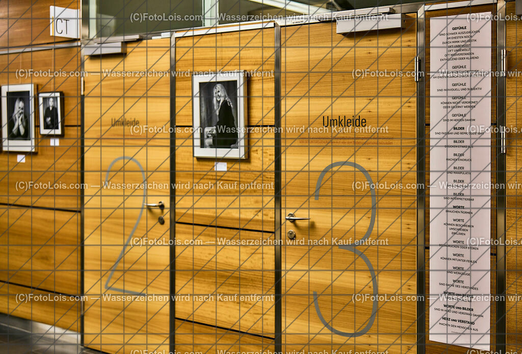 ALP2185_Buchvorstellung-Systemerhalter_Fellner Leo | (C)2023 FotoLois.com, Alois Spandl, Buchpräsentation 'Systemerhalter' von Leo Fellner, die Vernissage im Landesklinikum Melk musste kurzfristigst wegen zu großer Gefahr einer Corona-Infektion abgesagt werden, weshalb nur wenige Beuscher zur Präsentation erschienen sind (statt der angemeldeten 150 Personen), die Ausstellung im Landesklinikum kann noch bis Weihnachten einzeln oder in Kleingruppen besucht werden, Do 9. Nobember 2023.