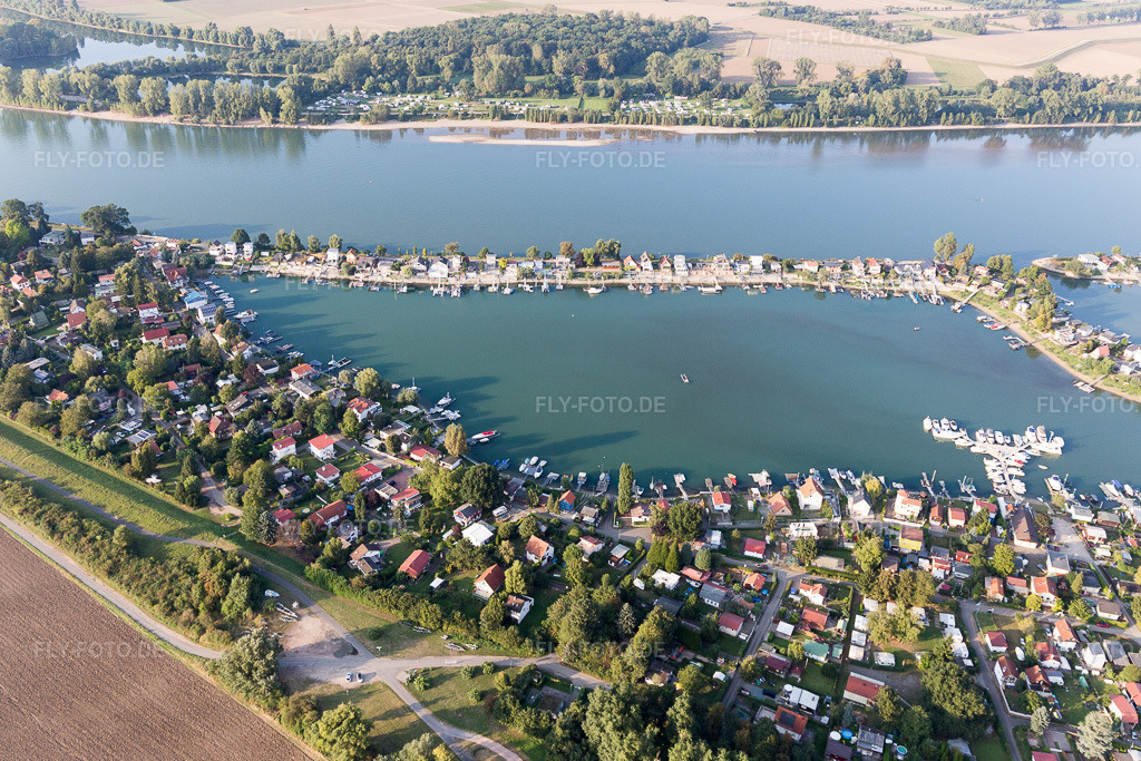 Luftbild: Wochenendhausgebiet und Uferbereiche Eicher See am Rhein im Ortsteil Eicher See in Eich im Bundesland Rheinland-Pfalz in Deutschland. – Foto: IMG_094656.jpg vom 21.09.2016 durch Werner Riehm/FLY-FOTO.de – Auflösung des Originals: 5313 x 3542 px