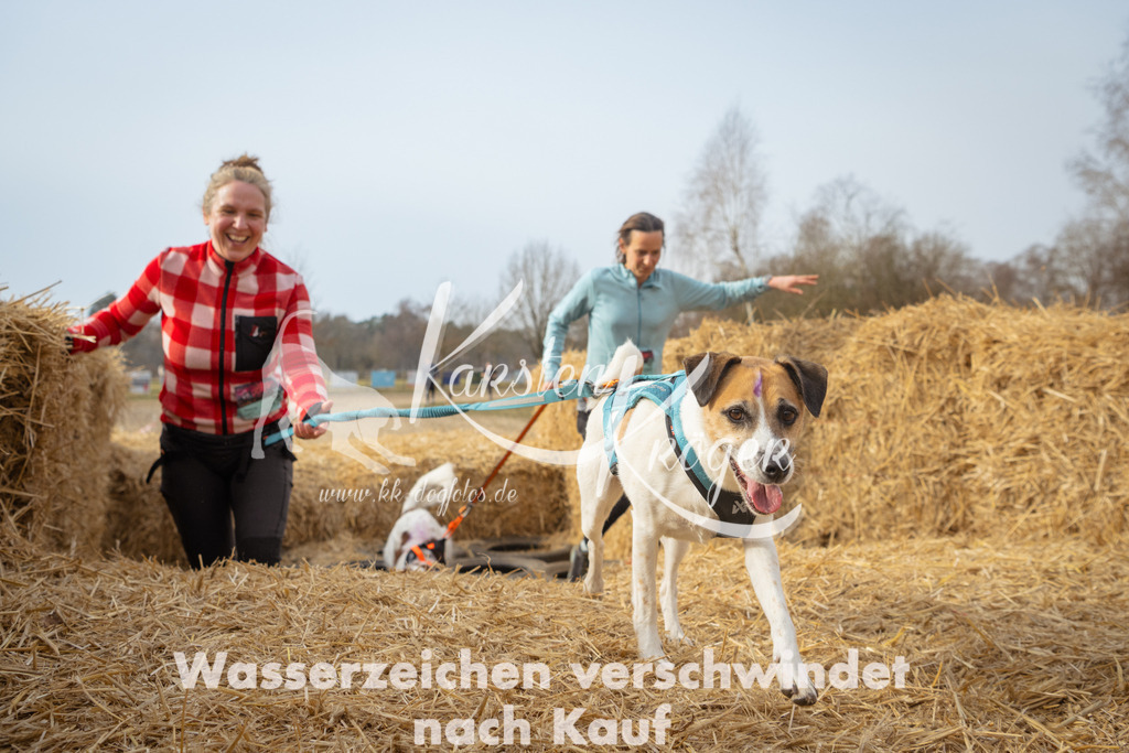 1026_ZZ95291 | kk-dogfotos