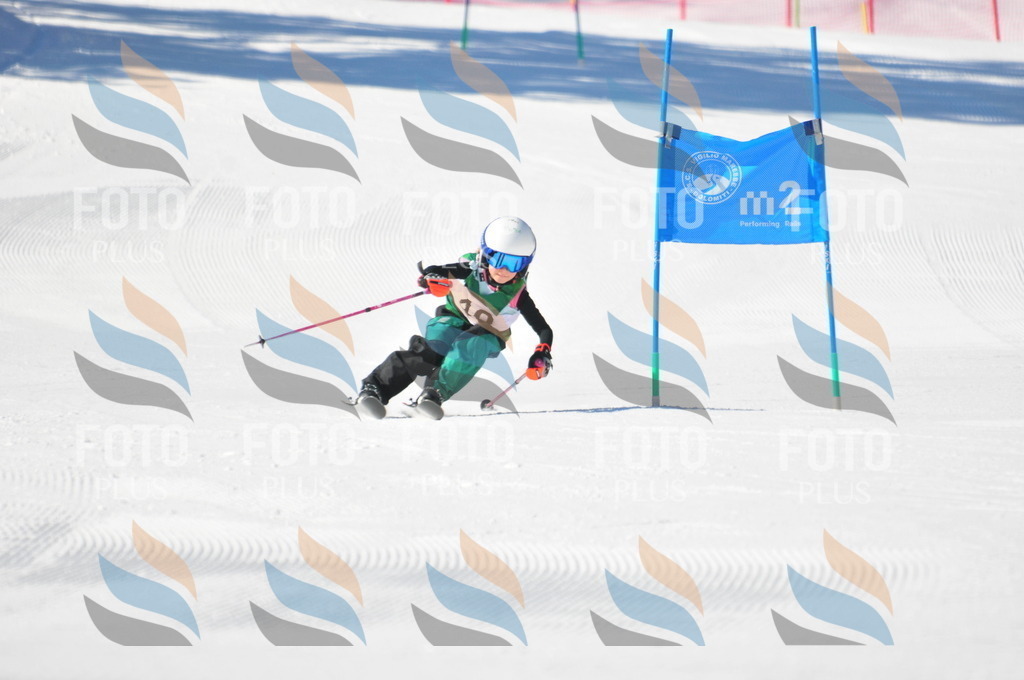 C2723 | holidayphoto