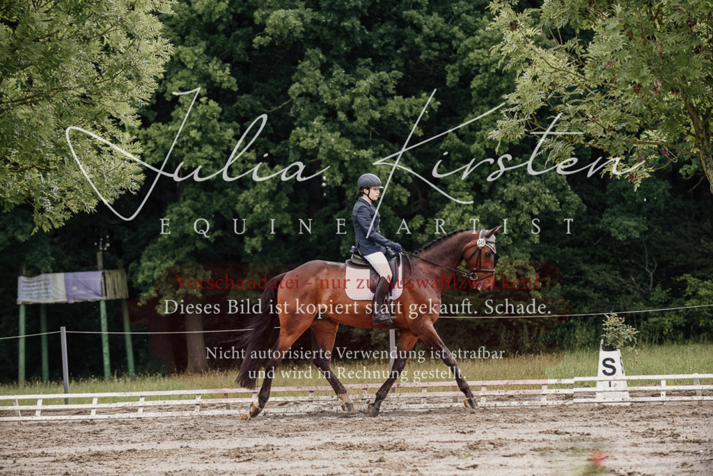 DSC_8656 | Pferde- und Turnierfotografie in Westsachsen. Pferdeportraits, Auftragszeichnungen und intuitive Kunst.