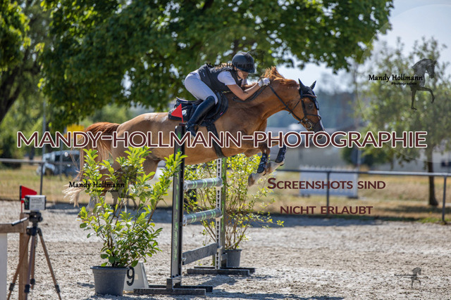26-7-25 Pony L-81 | mandyhollmannphotographie
