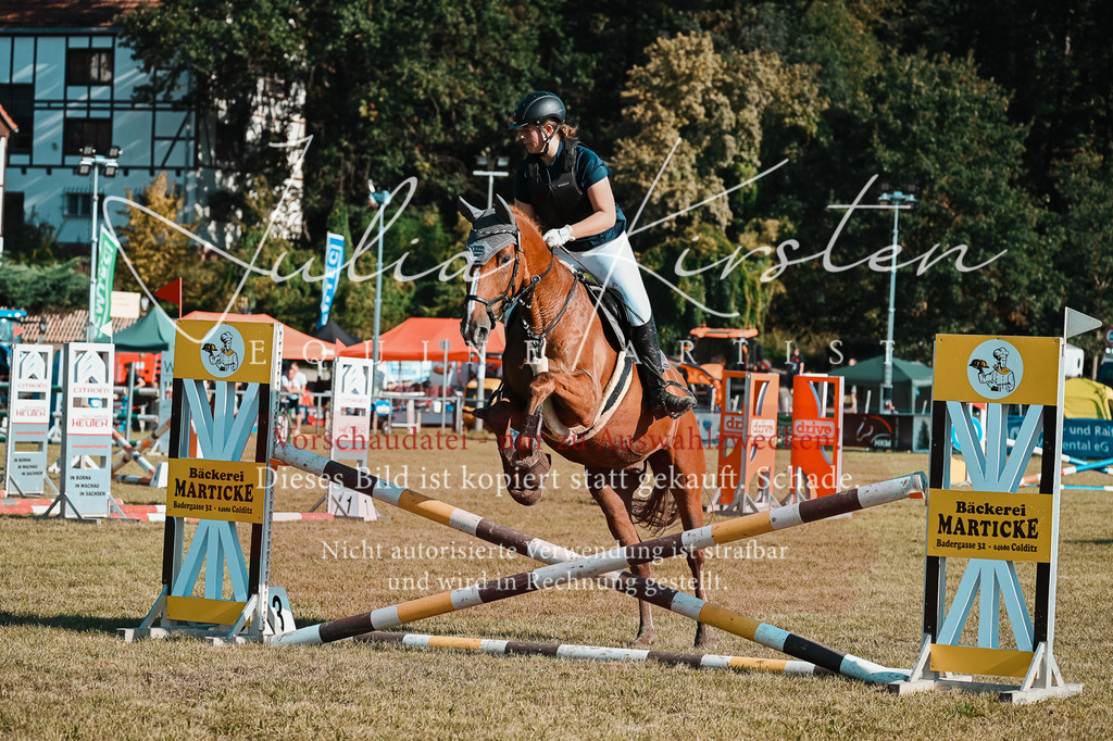 DSC_5094 | Pferde- und Turnierfotografie in Westsachsen. Pferdeportraits, Auftragszeichnungen und intuitive Kunst.