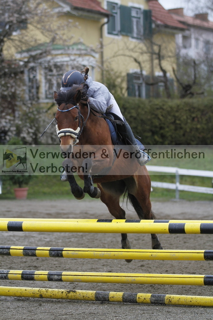 _MG_3562 | equestrian-live-com