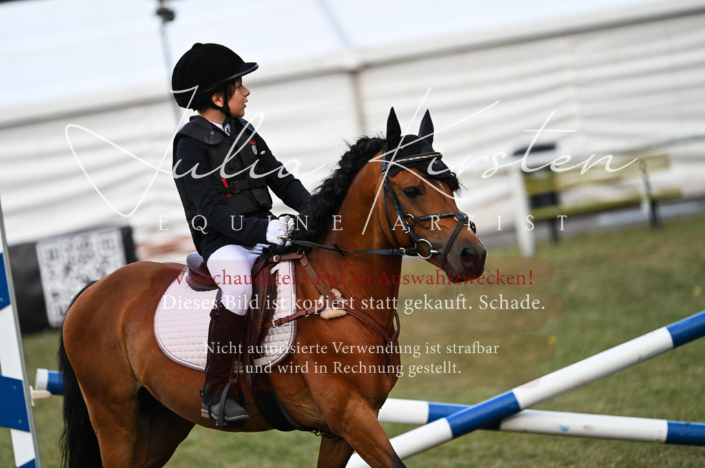 DSC_5568 | Pferde- und Turnierfotografie in Westsachsen. Pferdeportraits, Auftragszeichnungen und intuitive Kunst.