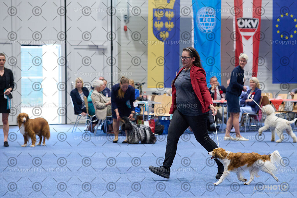 202406_ÖKV-IHA-Tulln24_DSC_3193 | proPHOTO - Realisiert mit Pictrs.com