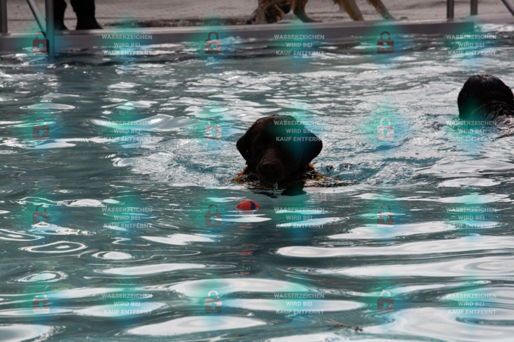 _HP_7575_1000o | HetPix, HetPix Fotodesign, Fotografie, Fotodesign, Webshop, Sportfotografie, Portraitfotografie, Onlineshop, Sportfotografie, Polch, Motorsportfotografie, Eventfotografie