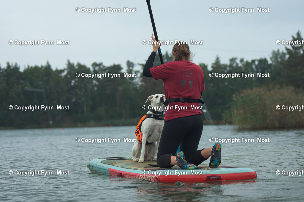 DSC_0456 | Hallo und herzlich Willkommen auf meiner Shop-Seite Fynn Most.

Ich wünsche Dir viel Spaß beim stöbern durch die Bilder, wenn Du Fragen hast oder Bilder vermisst, kannst du mir gerne eine Nachricht schreiben. - Realisiert mit Pictrs.com