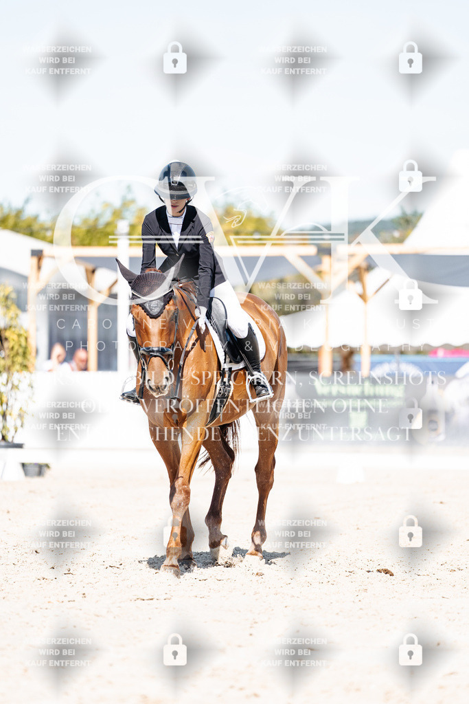 CK908774 | Turnierfotografie Pferdefotografie Trier Rheinland-Pfalz Pferdesport Reitsport Tierfotografie Sportfotografie Pferdevideo Pferdevideografie Equestrianvideography equestrianphotography  - Realisiert mit Pictrs.com