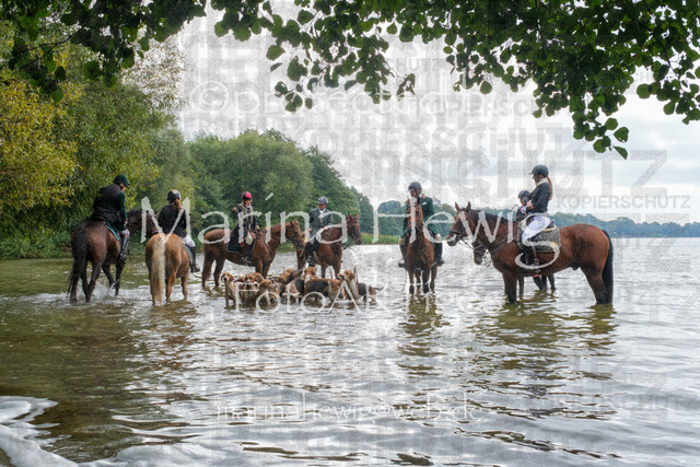 Jagd Perdoel_MarinaHewigDSCF3515 | Fotografie, FotoArt, PferdesportArt, Pferdesportfotografie, Landschaftsfotografie, Reisefotografie, Reise, Pferde - Realisiert mit Pictrs.com