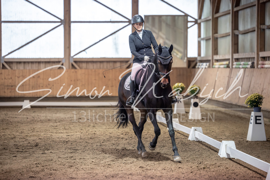 20251011-_3LI1751 | Tierfotografie Pferde, Hunde, Katzen, Haustiere.
Turnierfotografie Reitturniere, Reiten, Springreiten, Dressur in Hanau, dem Main-Kinzig-Kreis und dem Rhein-Main- Gebiet um Frankfurt