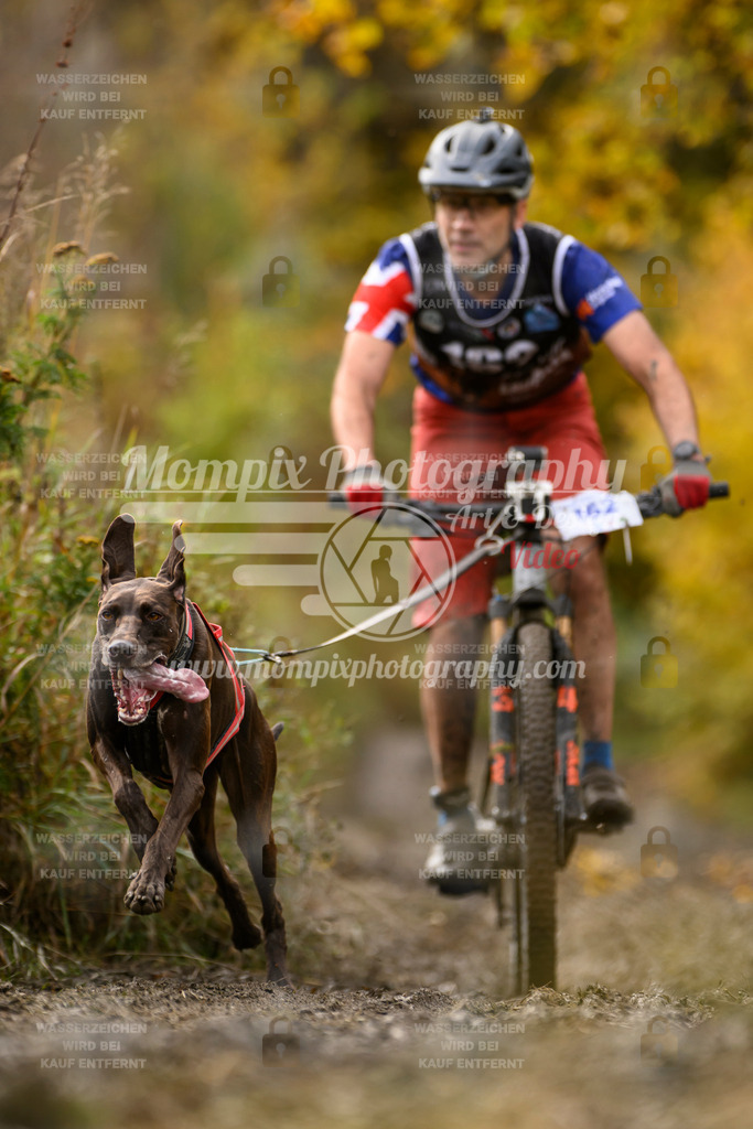MompixPhotography_ICF_WC_2024_SA_Bike_-222 | PayLife