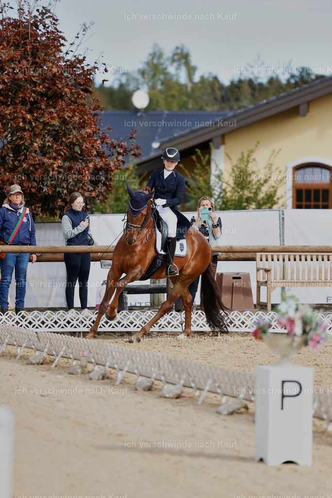 6-143-AMATUER-DRESSUR S_  -StoibPH-3431 | working equitationturnier fotograf videograf stoibphotography marixx film working equitation deutschland reitsport turnierfotografie eventfotografie equestrian events