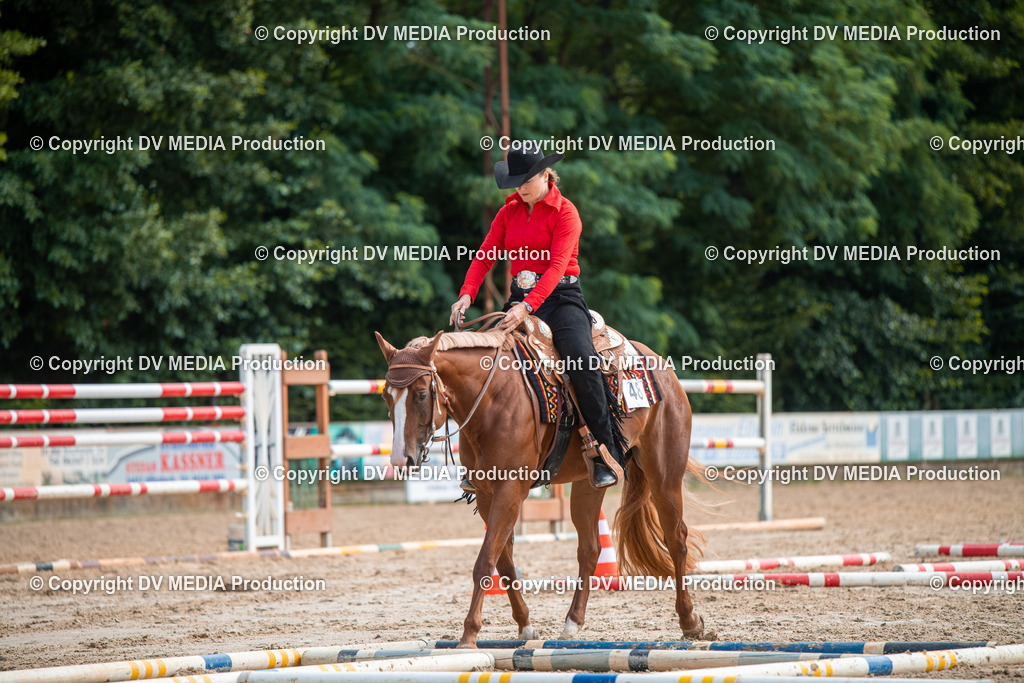 ZS3_9318 | dv-media-shop - Realisiert mit Pictrs.com