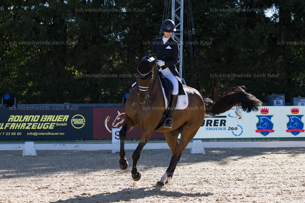 FHC2026_P07_150_17299 | working equitationturnier fotograf videograf stoibphotography marixx film working equitation deutschland reitsport turnierfotografie eventfotografie equestrian events