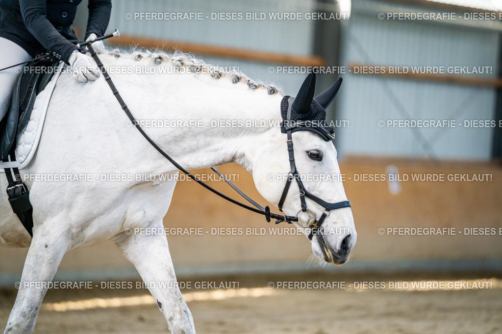 DSC06276 | Pferdegrafie