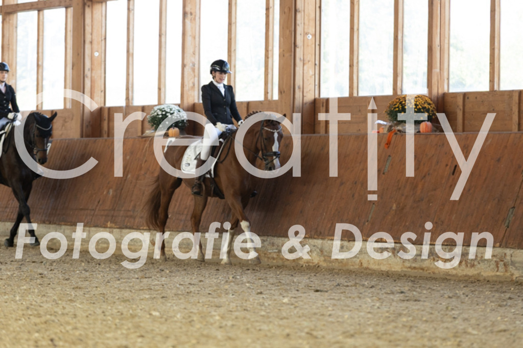 IMG_4831 | Creatify Fotografie