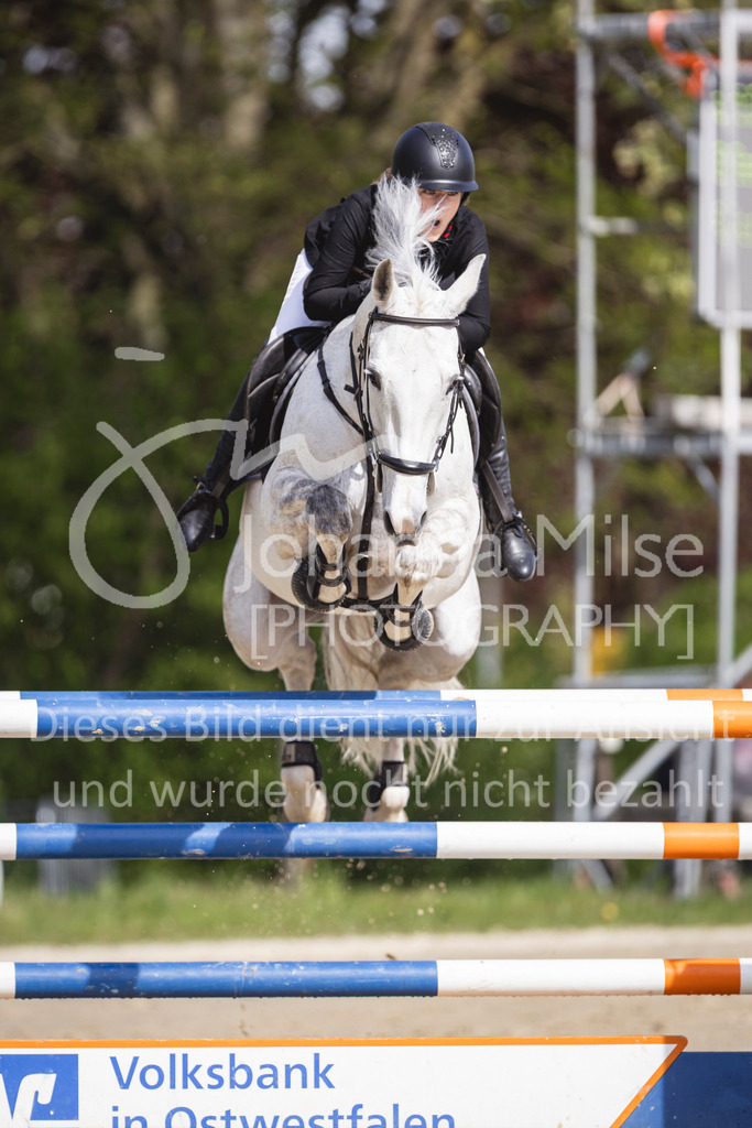 260503_Spenge_7_M2-Spr-m-steig-Anf-741 | Deine schönsten Turniermomente als professionelle Fotos! Entdecke hochwertige Pferdesport-Fotografie im Online-Shop. Jetzt Fotos finden & bestellen!