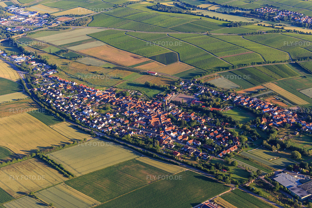 Luftbild: Ortsansicht von Südosten im Ortsteil Kapellen in Kapellen-Drusweiler im Bundesland Rheinland-Pfalz in Deutschland. Foto: IMG_007793.jpg vom 21.06.2020 durch Werner Riehm/FLY-FOTO.de