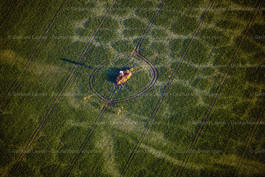 3638564 | Hochstand, Feldstrukturen bei Fienstedt