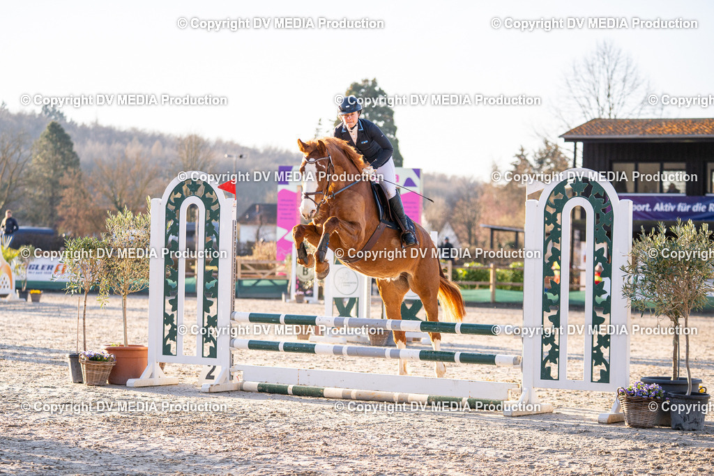 DSC-217 | dv-media-shop - Realisiert mit Pictrs.com