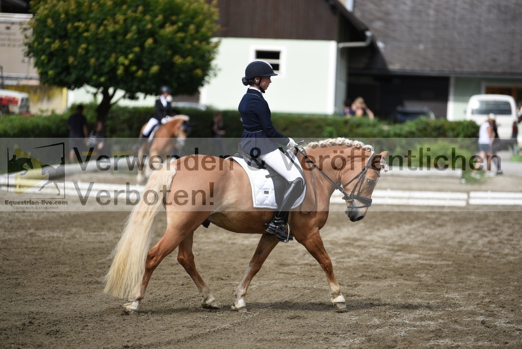 DSC_4960 | equestrian-live-com
