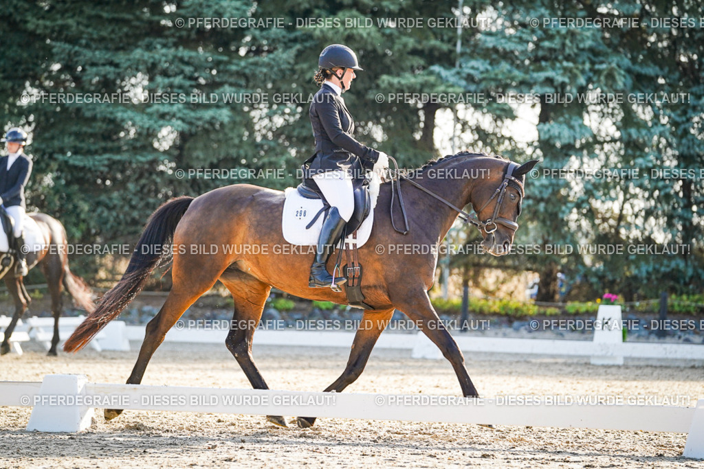 DSC08199 | Pferdegrafie