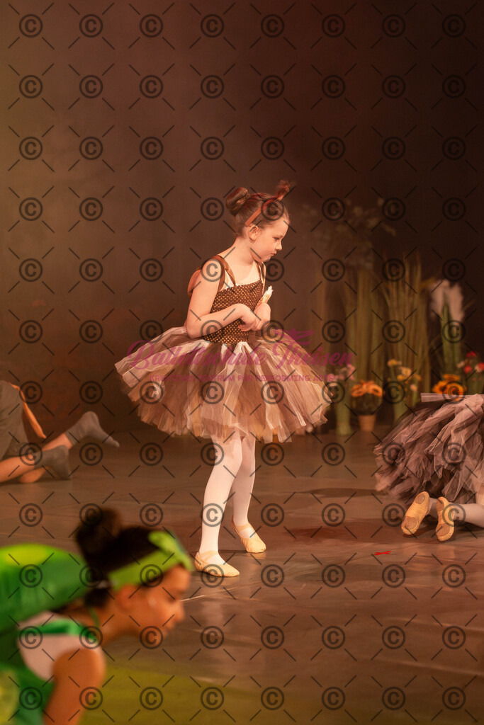 Ballettaufführung-1698 | Bildershop Lem'n Entertainment - Realisiert mit Pictrs.com
