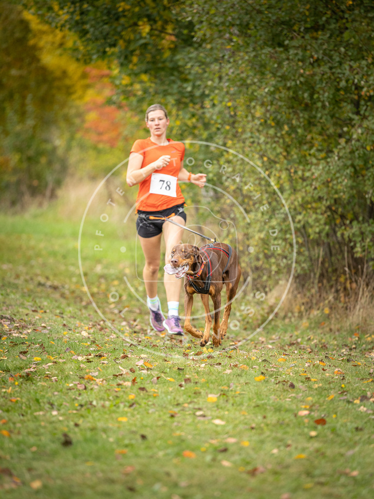 Pfotenfotografie_DV3A2979 | Hundefotografie, Tierfotograf, Pfotenfotografie, Fotoshooting Hund, Hunde Portrait, Hundesport, Hundeportraits, Heideshooting, Hunde, Sportfotograf, Hundefotograf, Turnierhundsport, THS,  - Realisiert mit Pictrs.com