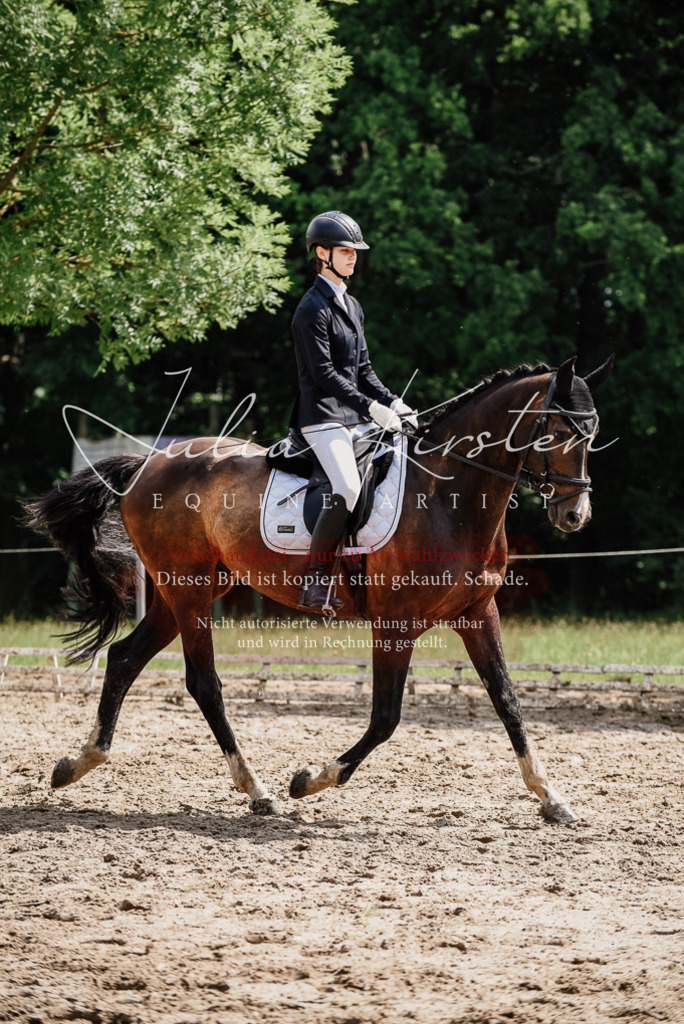 DSC_0809 | Pferde- und Turnierfotografie in Westsachsen. Pferdeportraits, Auftragszeichnungen und intuitive Kunst.