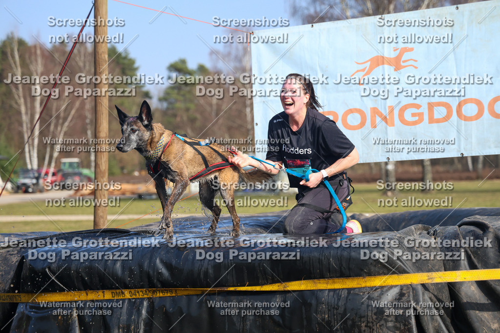 Dog Paparazzi - Strongdog North Mrz26-3207 | Dog Paparazzi Jeanette Grottendiek Fotografie & Videografie - Realisiert mit Pictrs.com