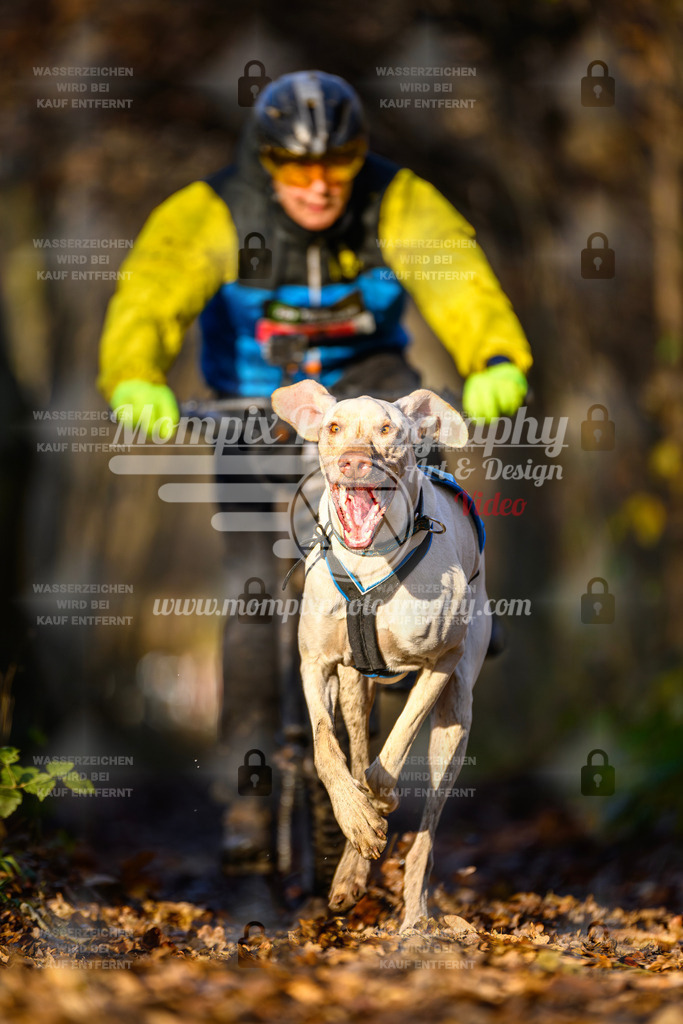 MompixPhotography_Eschau2024_Bike-39 | PayLife
