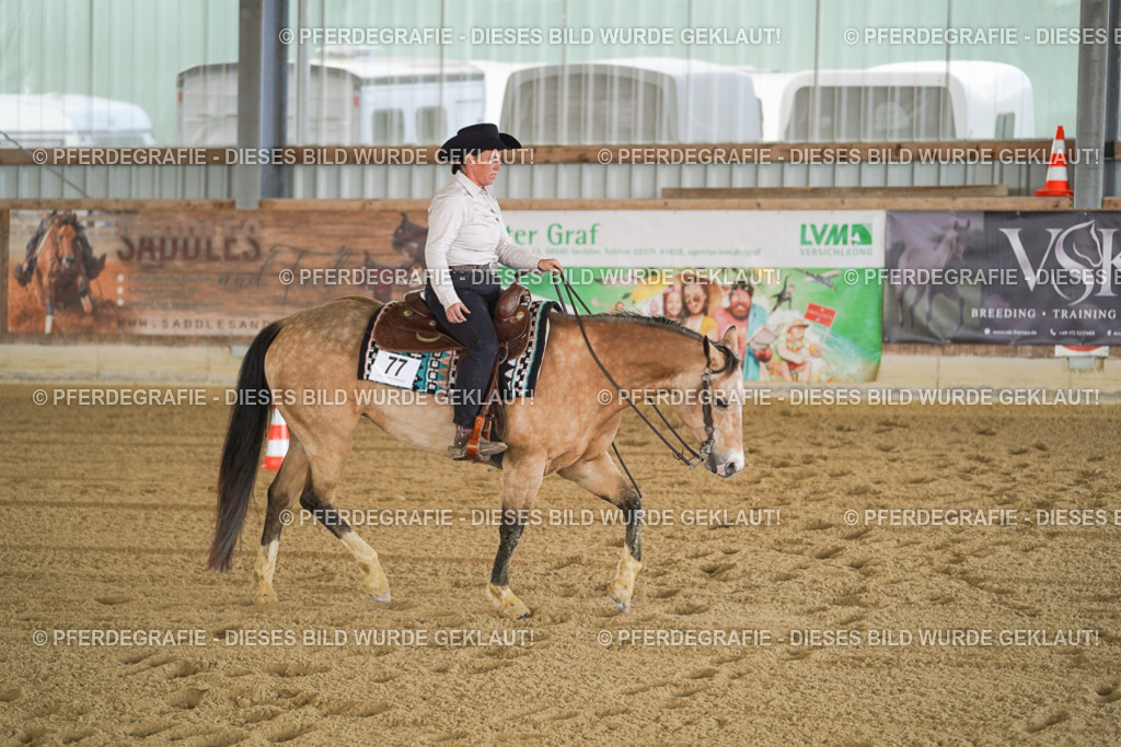 DSC09795 | Pferdegrafie