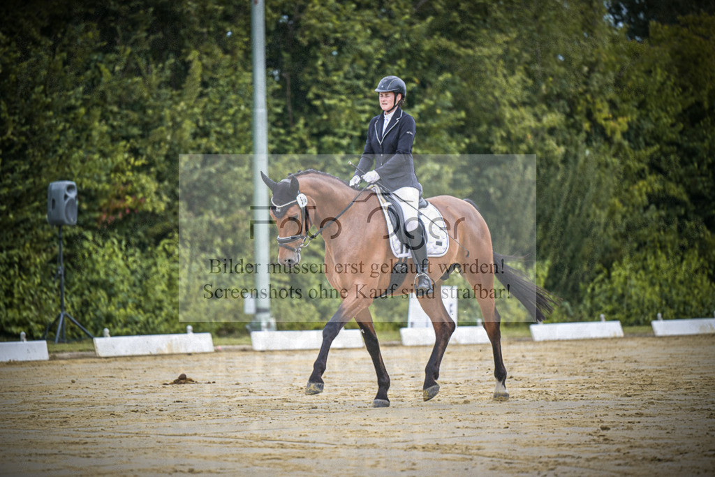 DOS_0933 | Entdecke hochwertige Reitturnierfotos von Foto Oger. Professionell, emotional und authentisch – jetzt Lieblingsmomente im Shop bestellen.Deutschlandweite Turnierfotografie. - Realisiert mit Pictrs.com