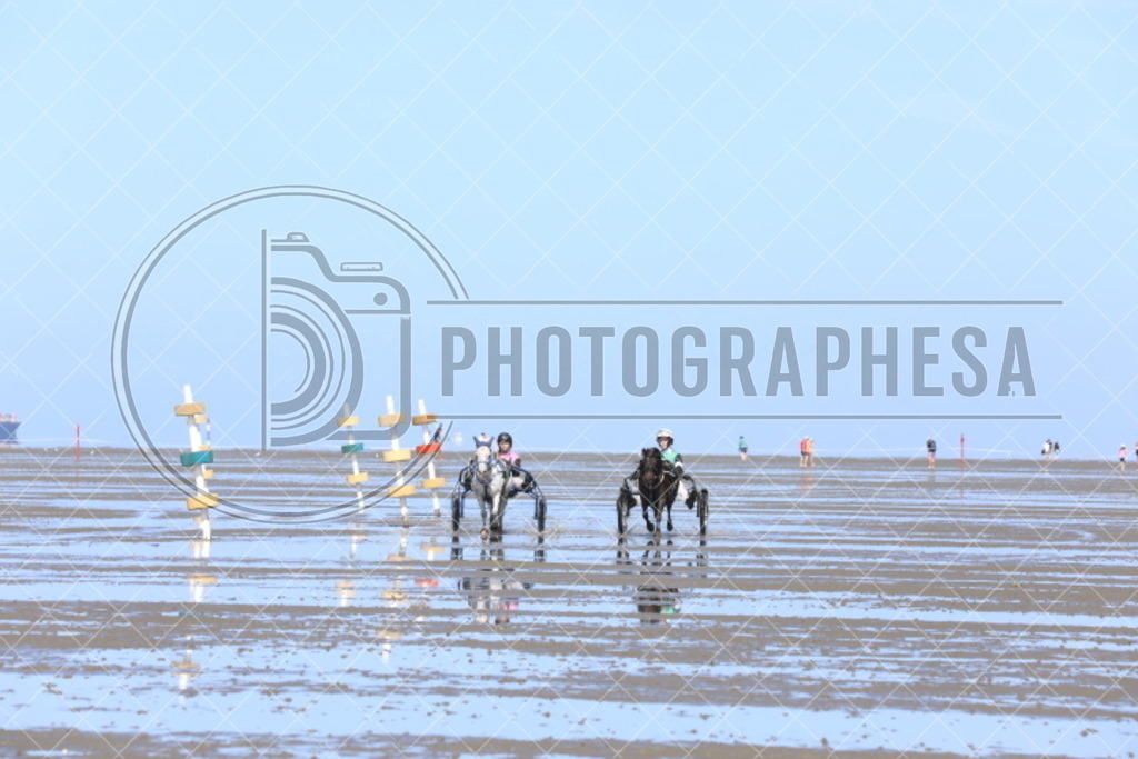 IMG_8733 | photographesa-joergens - Realisiert mit Pictrs.com