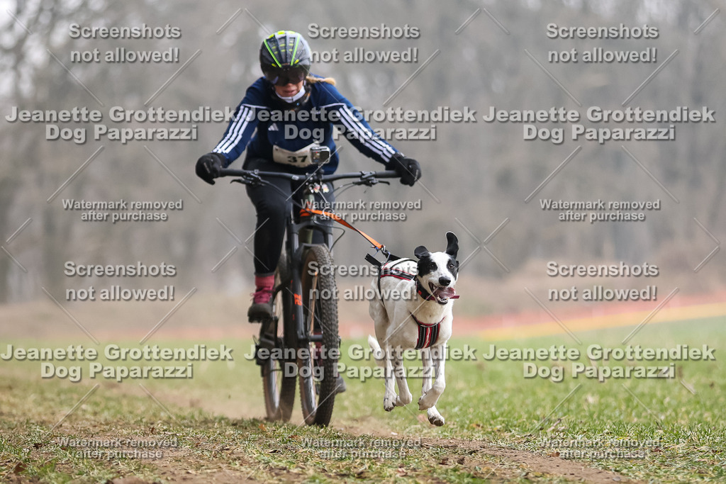 Dog Paparazzi - Plate 2026-122 | Dog Paparazzi Jeanette Grottendiek Fotografie & Videografie - Realisiert mit Pictrs.com