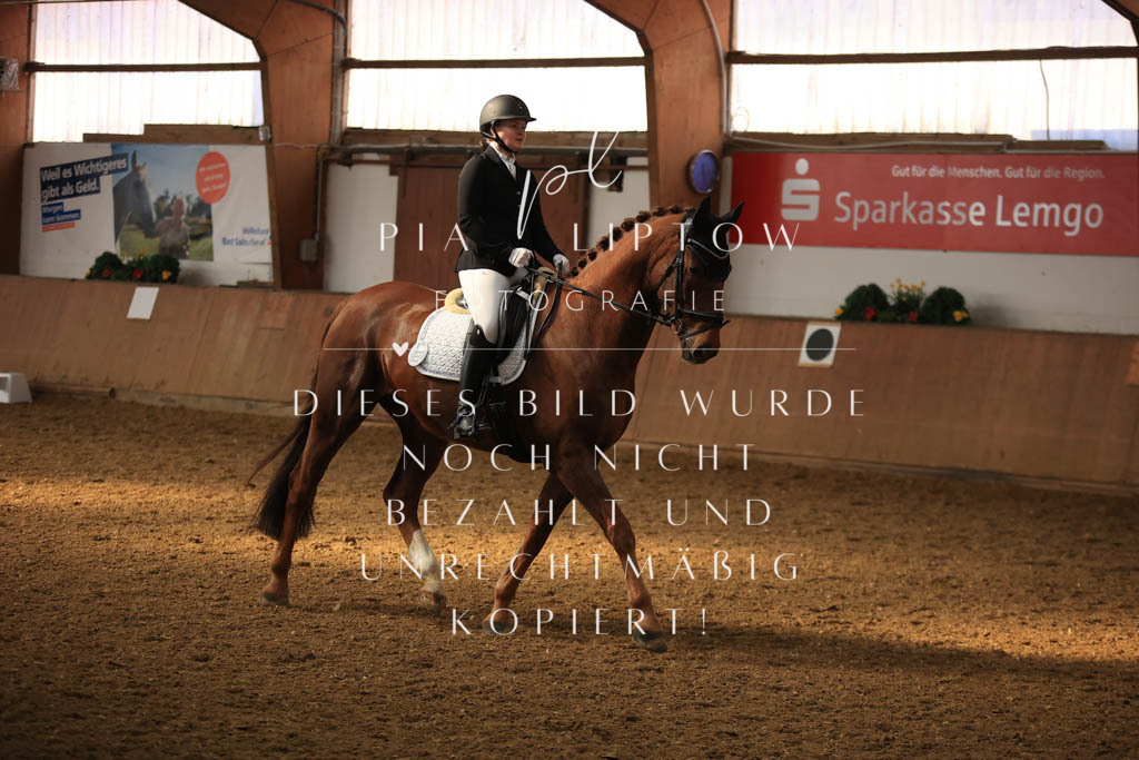 IMGT7775 | pl-fotografie